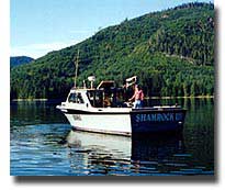 The 33' Shamrock III, the top fish producing boat on Prince of Wales Island for the past 7 seasons!