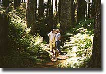 Hike in the temperate rainforest of Southeast Alaska.